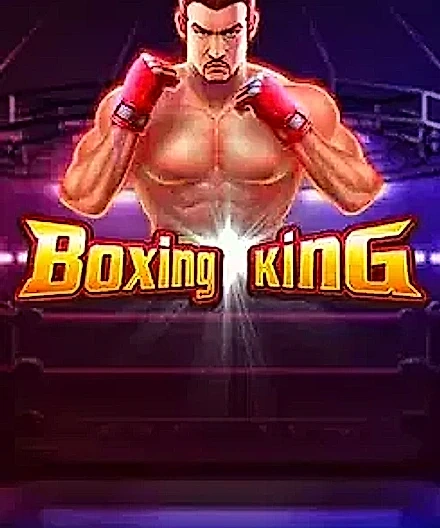 boxing king JITABET জিতাবেট বাংলাদেশ